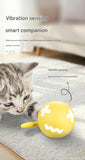 Rechargeable Interactive Cat Toy - Self - Rolling Ball with LED Light, Standard Edition Blue