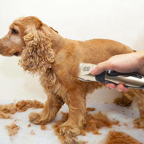 Professional Pet Grooming Hair Clipper Kit - Rechargeable, Low Noise, with Ceramic Blades & 5 - Speed Adjustment(gold)